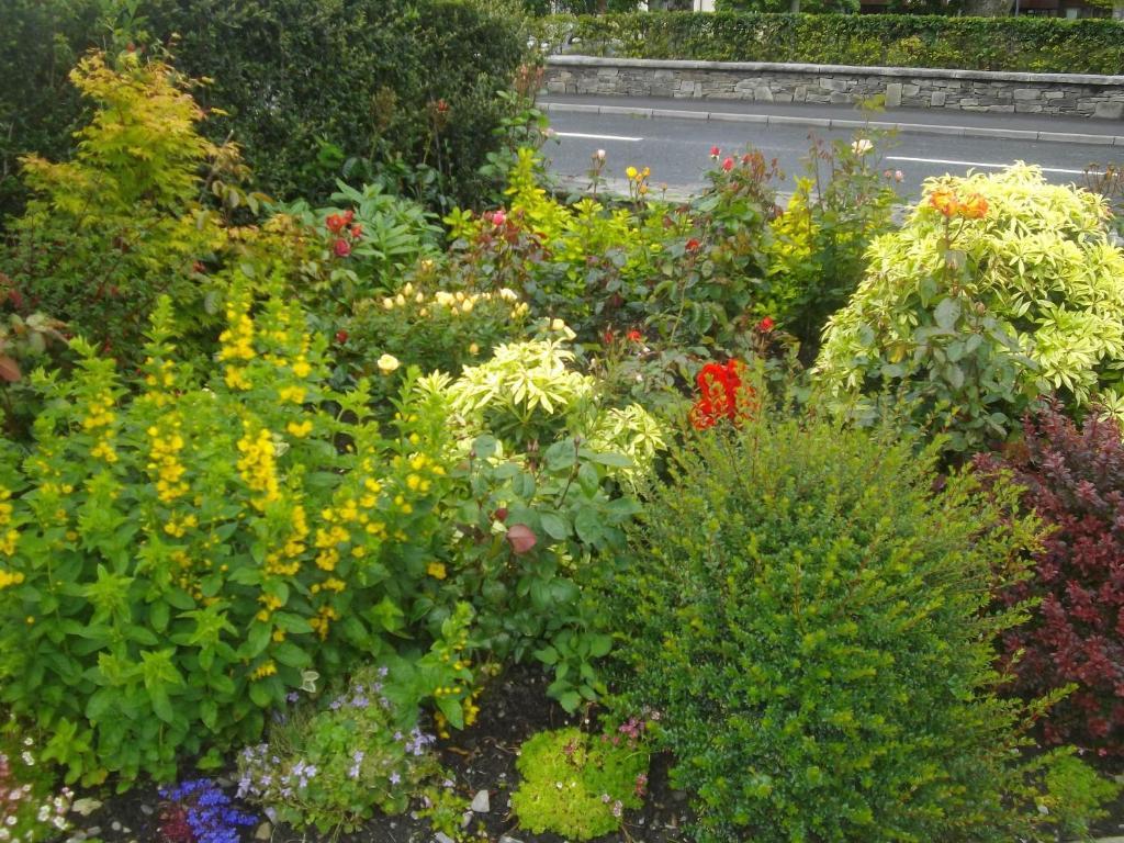 Bed and Breakfast Quay West Ireland Westport Exterior foto