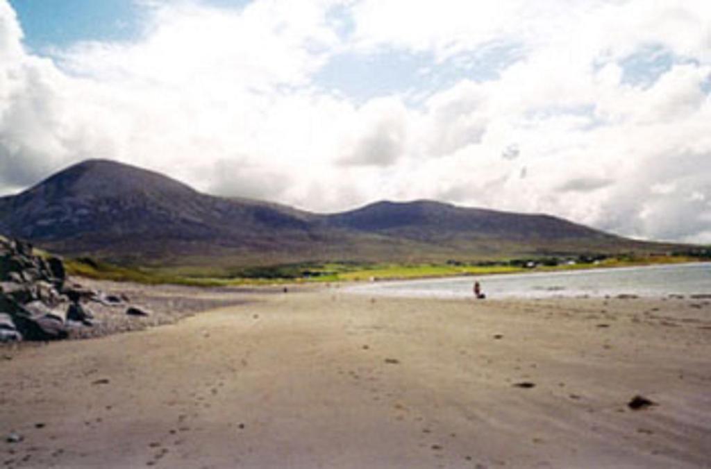 Bed and Breakfast Quay West Ireland Westport Exterior foto