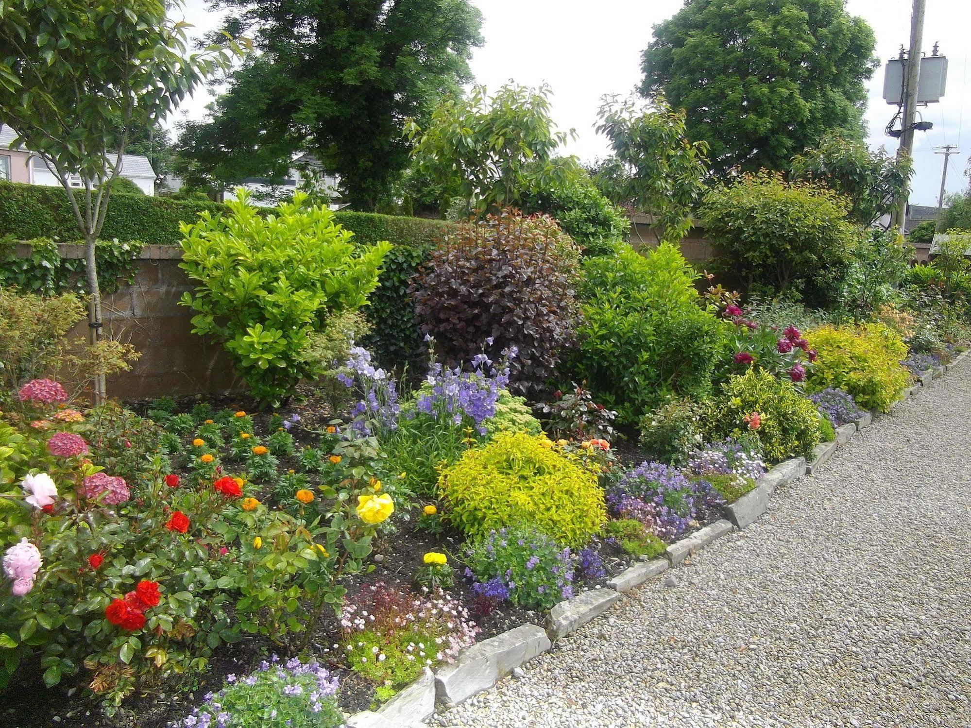 Bed and Breakfast Quay West Ireland Westport Exterior foto
