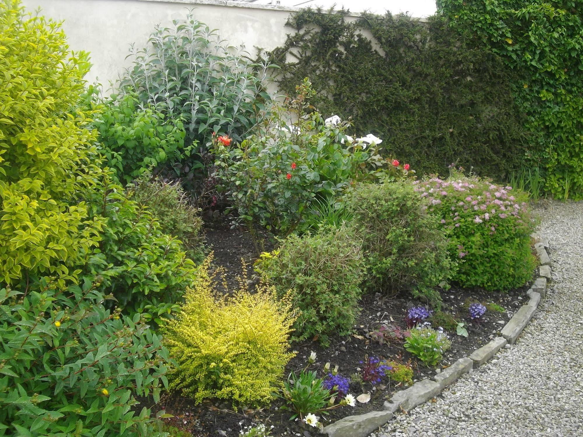 Bed and Breakfast Quay West Ireland Westport Exterior foto